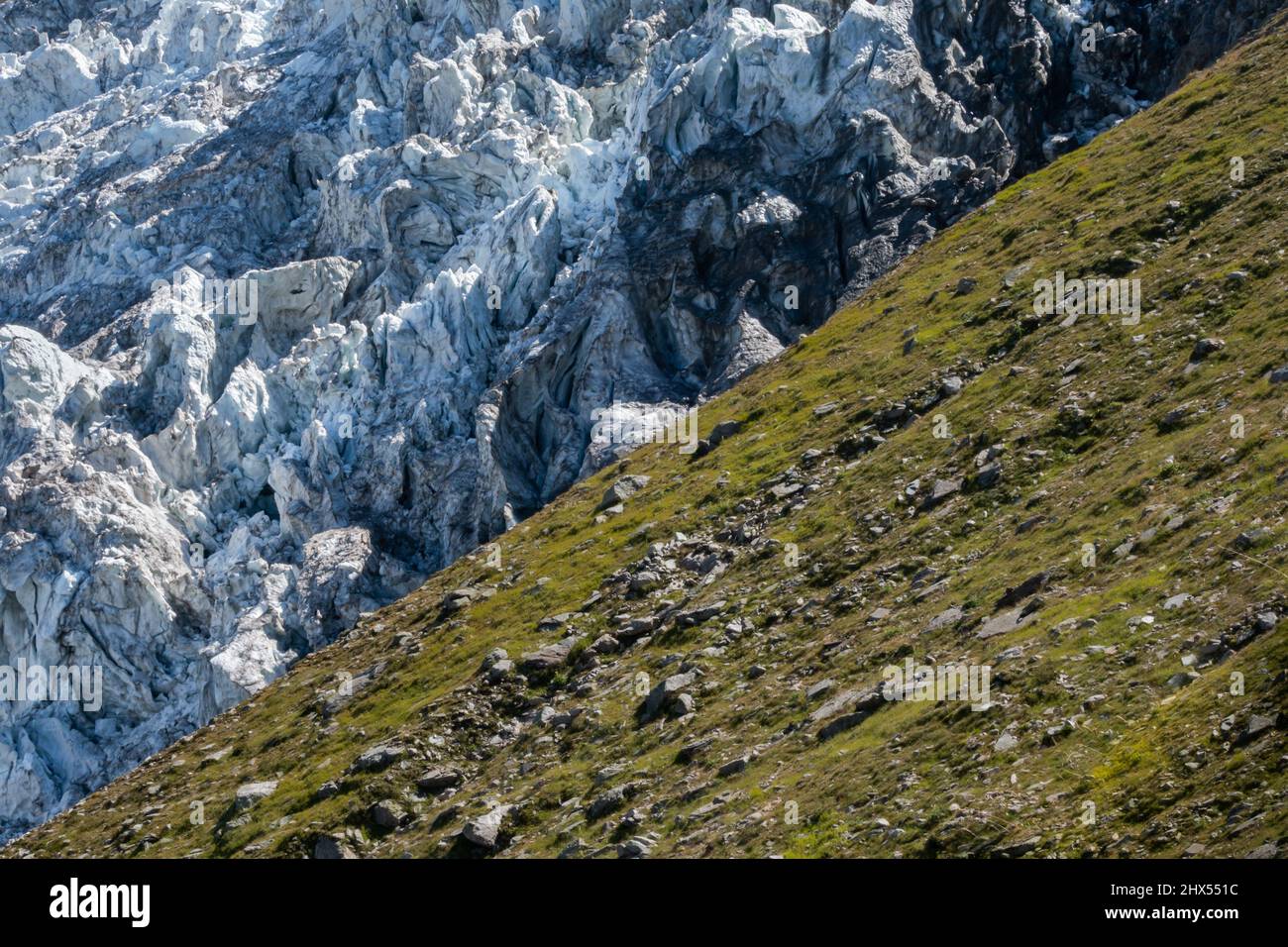 Primo piano del Ghiacciaio dei Bossons in recinenza che incontra il lato erboso della montagna formando una linea di confine diagonale tra i due a Chamonix, Francia Foto Stock