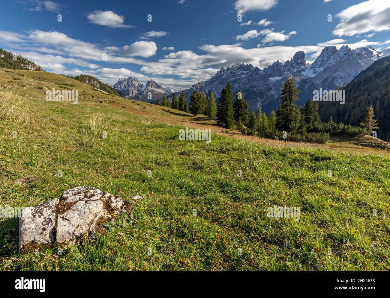 Vista sul Monte Cristallo da Piazza Prato, Parco naturale Fanes Sennes Braies, Dolomiti, alpi Italiane Foto Stock