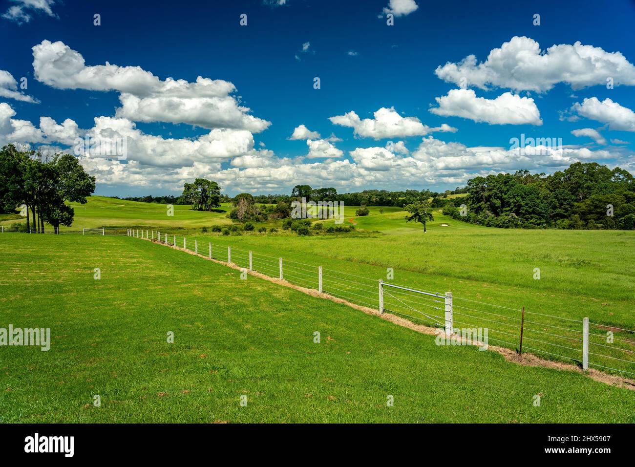Splendidi pascoli verdi a Maleny, Queensland, Australia Foto Stock