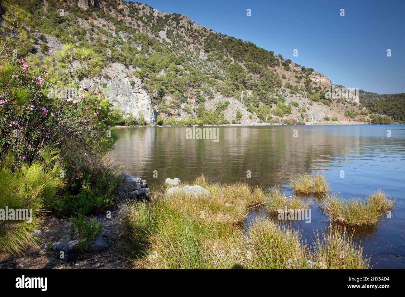 Turchia, riva del lago Koycegiz, vicino Dalyan Foto Stock