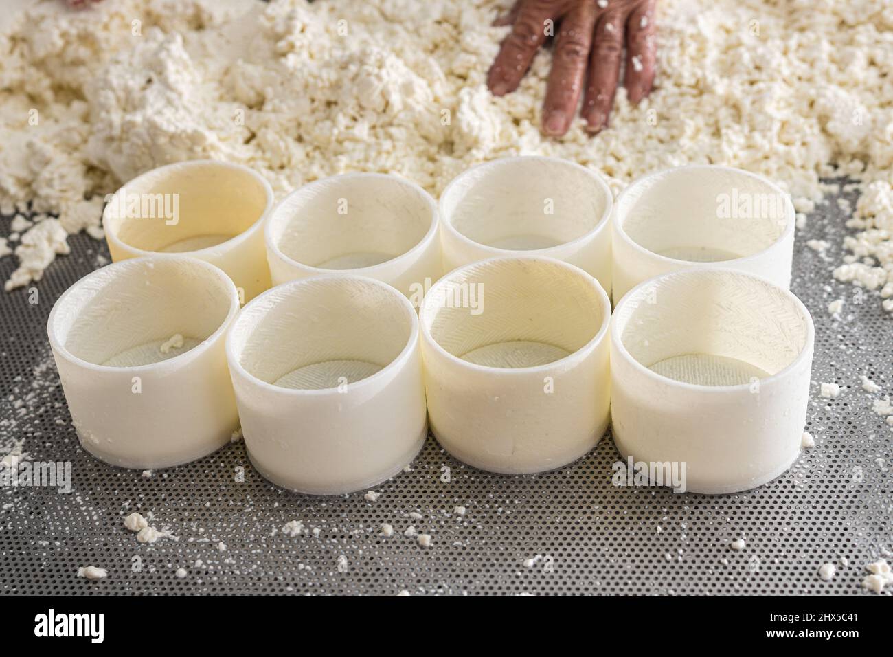 8 stampi vuoti per la produzione di formaggio fresco Foto Stock