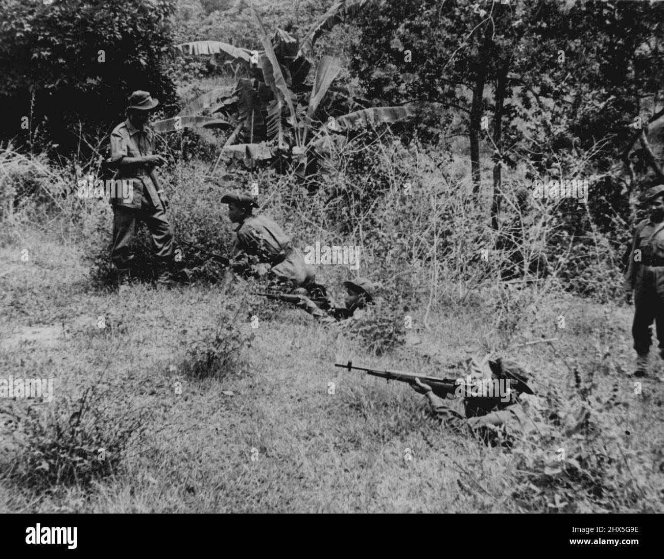 Una polizia Jungle Force per la Malaya - la polizia malese che, in proporzione alla popolazione del paese è una delle più grandi del mondo, sta rapidamente estendendo il suo braccio di lotta per colpire duramente e spesso ai banditi comunisti nella giungla. E' stato costretto a farlo perché in qualsiasi momento gli eventi mondiali potrebbero richiedere il trasferimento delle forze militari britanniche in un'altra zona che lascia la Malaya senza la forza sufficiente per eliminare il terrore comunista. Il commissario della polizia ha avviato un piano per formare 45 Jungle Companies nella Federazione composta da tutte le razze che vivono in Malaya. Luglio 24, Foto Stock