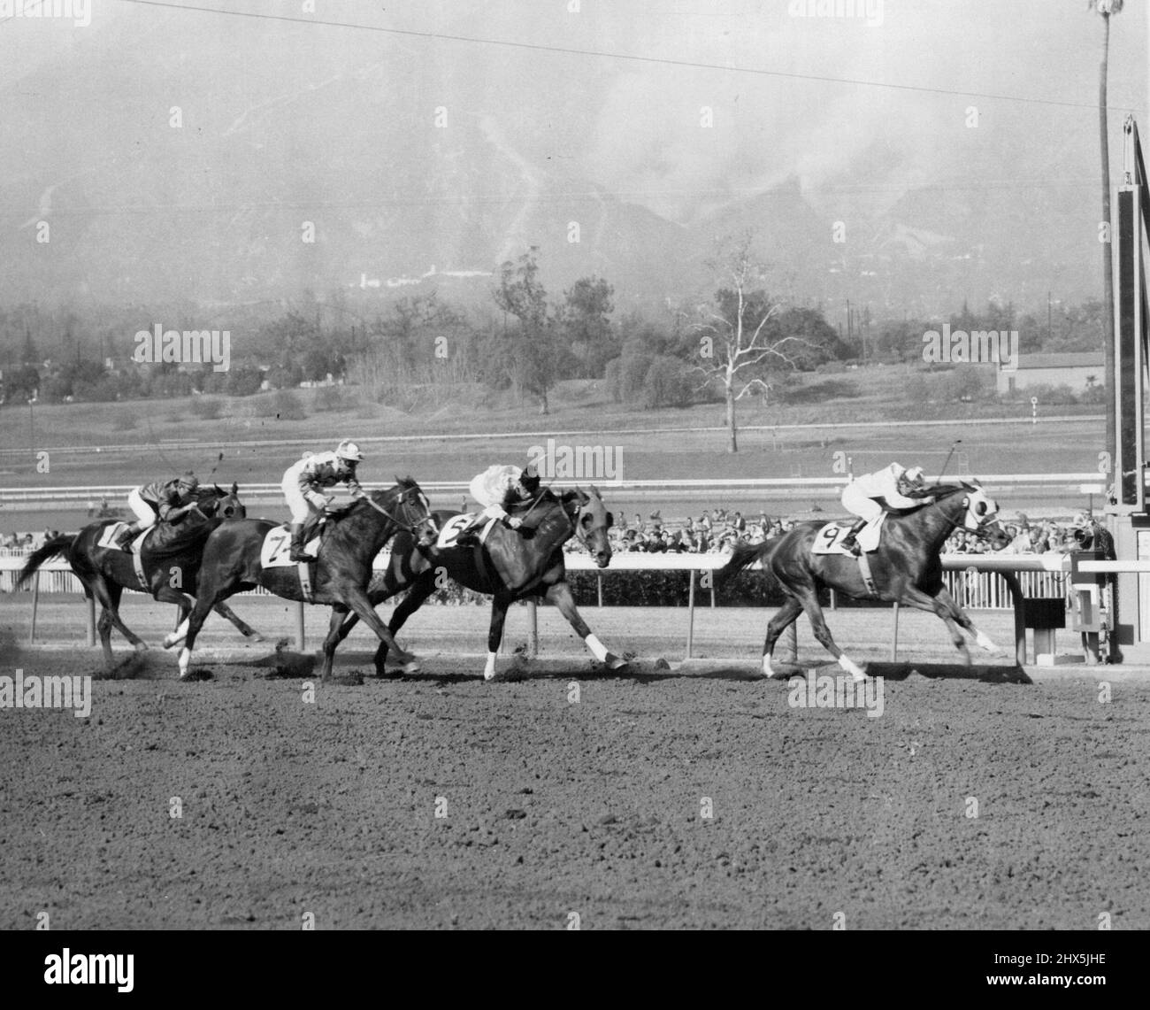 Calzolaio a cavallo di Mercenary a Santa Anita per vincere la sua gara del 485th per il 1953 per stabilire un nuovo record per i jockey statunitensi. Maggio 18, 1955. Foto Stock