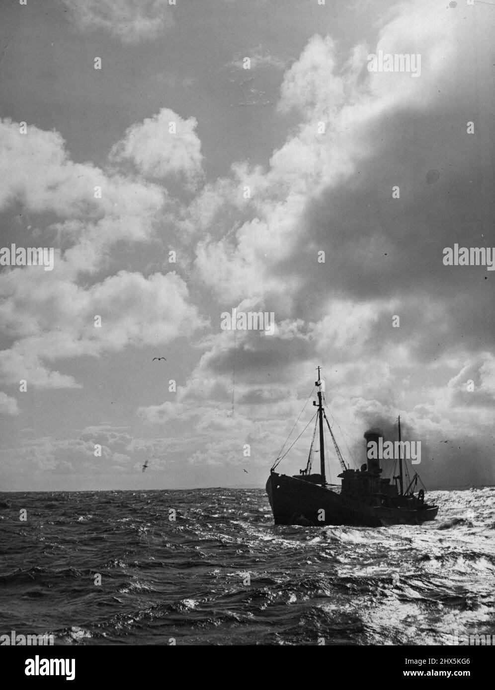 Dutchmen in Exile - in partenza per un viaggio di tress, dopo solo 26 ore in porto, il 700 per la pesca a strascico è legato per le acque islandesi o al largo della stagione è inadatto più a sud dell'Atlantico. Trasportano carbone abbastanza per due, a volte per tre settimane. Luglio 01, 1953. (Foto di Pictorial Press). Foto Stock