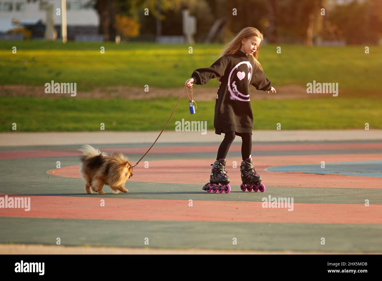 Ragazza rollerskating a piedi il cane nel parco Foto Stock