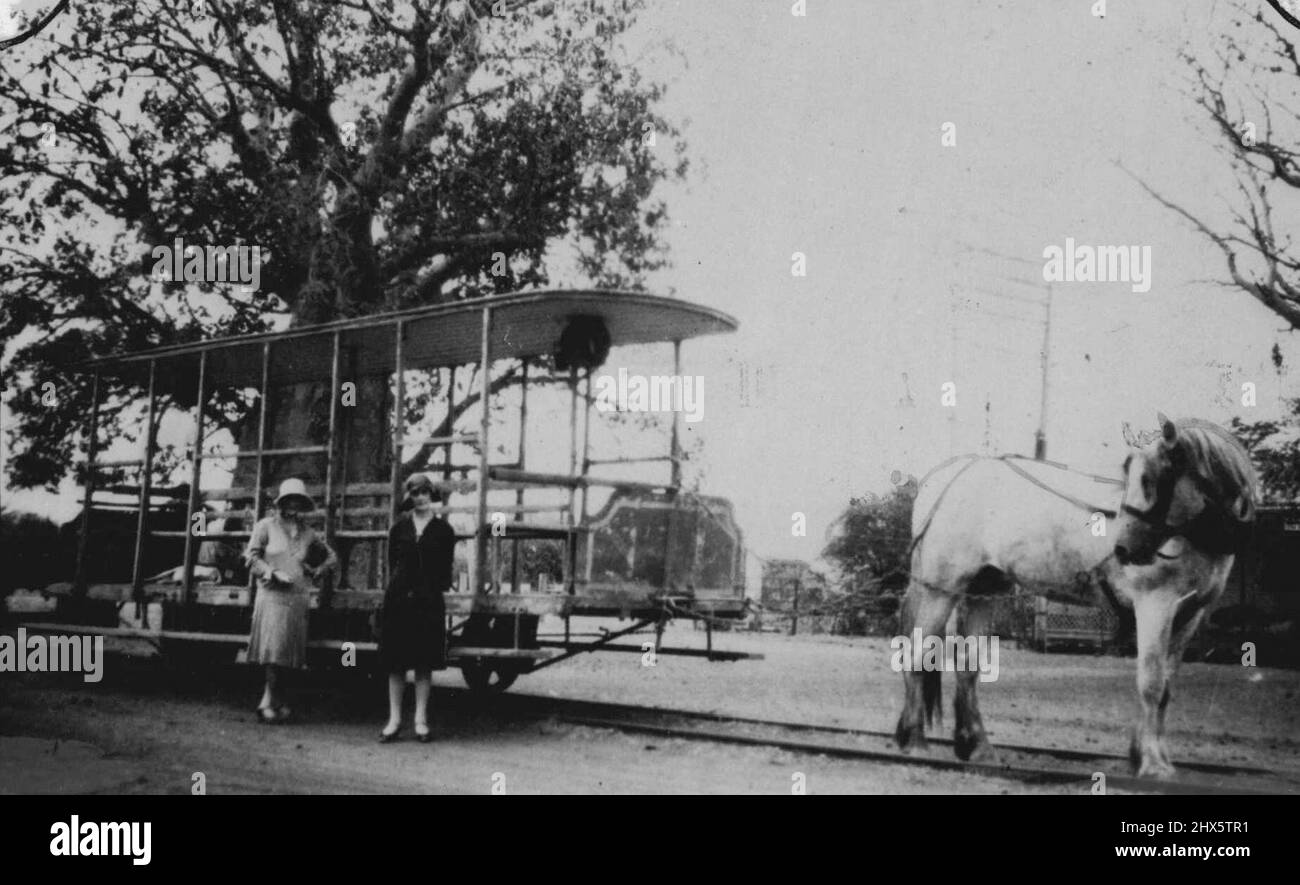 Tram a cavallo a Derby, Australia occidentale - questa è ora l'unica linea di tram in Australia con trazione a cavallo. Maggio 03, 1932. Foto Stock