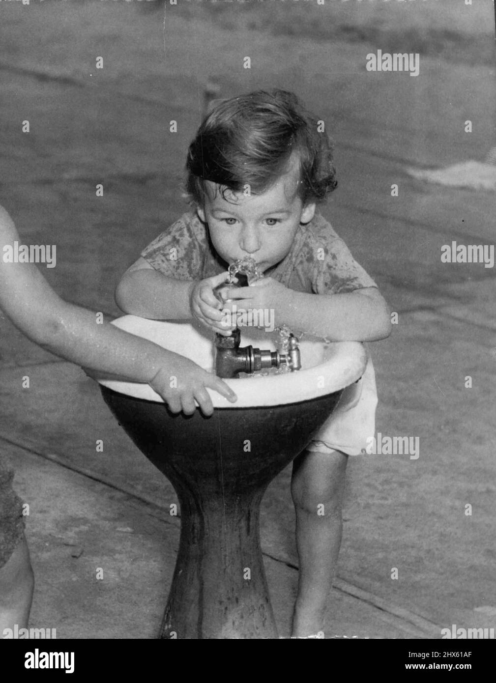 Poca pazienza (sotto) ha ottenuto una bevanda lunga e fredda. 1 febbraio 1955.;poca pazienza (sotto) ha ottenuto una bevanda lunga e fredda. Foto Stock
