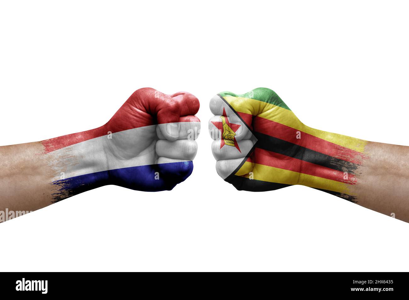 Due mani si pugno l'una all'altra su sfondo bianco. Bandiere di paese dipinte pugni, conflitto concetto di crisi tra i paesi bassi e zimbabwe Foto Stock