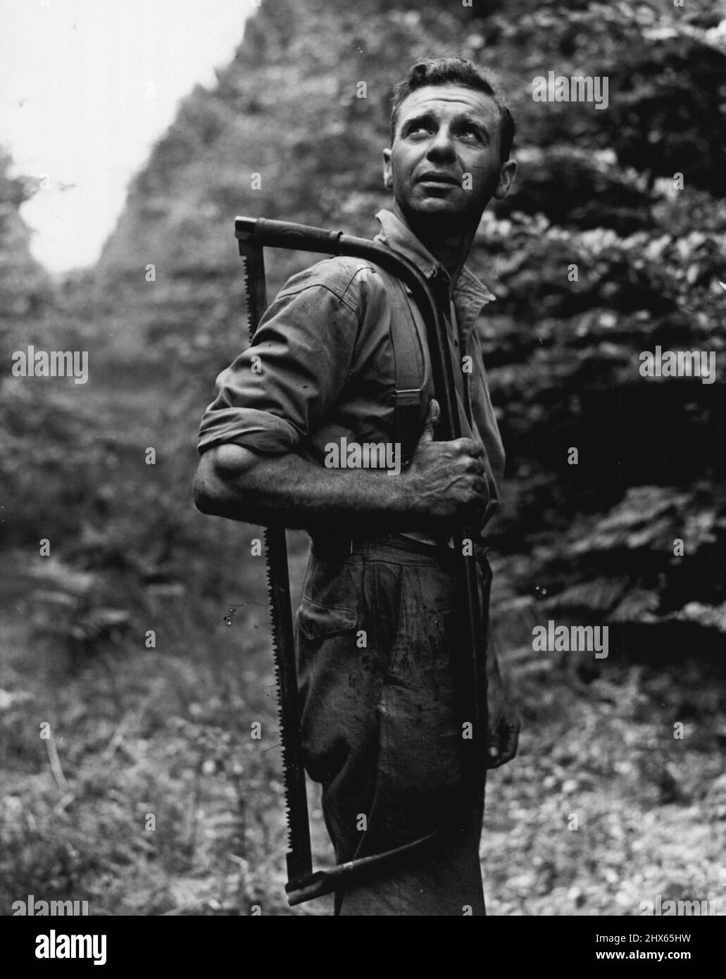 British Forestry - Un foresters tipico: Più di 7.000 uomini e donne sono impiegati dalla Commissione forestale sulle sue proprietà. Se si raggiungerà l'obiettivo di cinque milioni di acri di terreno boscoso, ci sarà occupazione a tempo pieno per il 50.000. Febbraio 16, 1948. (Foto di Pictorial Press). Foto Stock