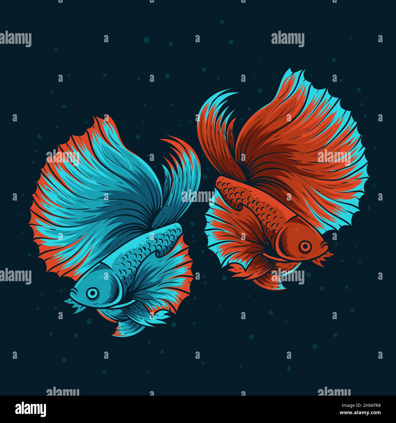 illustrazione due bellissimi pesci beta Illustrazione Vettoriale