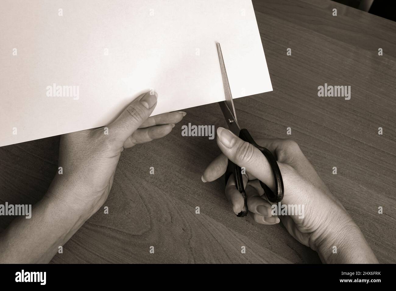 Le mani femminili tagliano un foglio bianco di carta con le forbici. Il concetto di distruzione, rottura, lavoro da ago. Foto Stock
