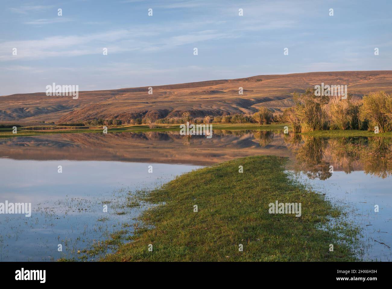 Bellissimo paesaggio estivo con un lago, alberi, montagne, riflessi e erba verde in primo piano contro un cielo blu con le nuvole all'alba. Altai, Foto Stock