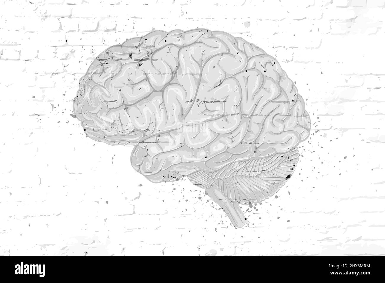 Cervello disegnato a mano su un vecchio muro di mattoni sbiancati Foto Stock