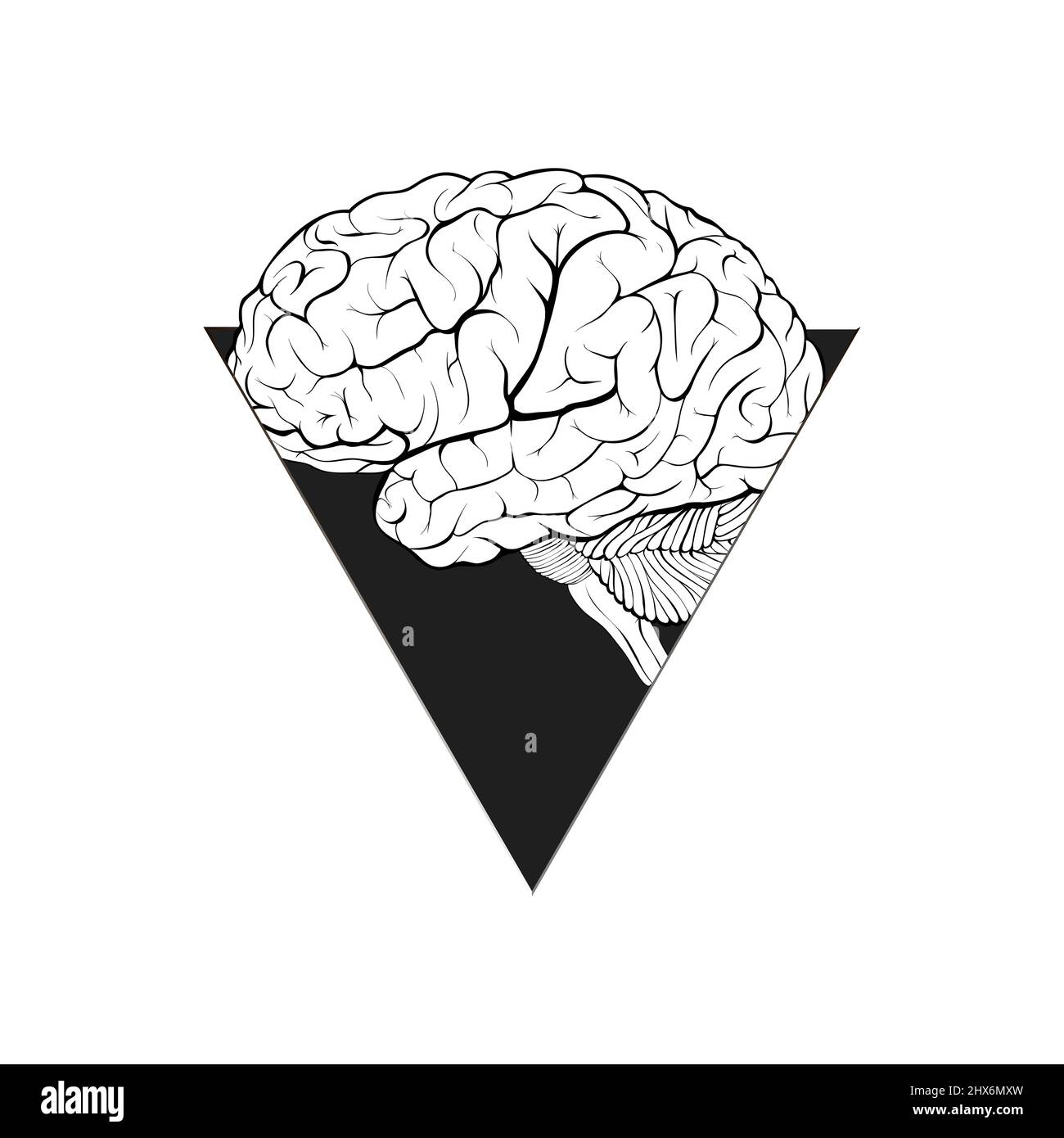 Нuman cervello in una finestra triangolare forma astratta come simbolo di aspirazione, fiducia, intelligenza. Isolato su sfondo bianco. Illustrazione. Foto Stock