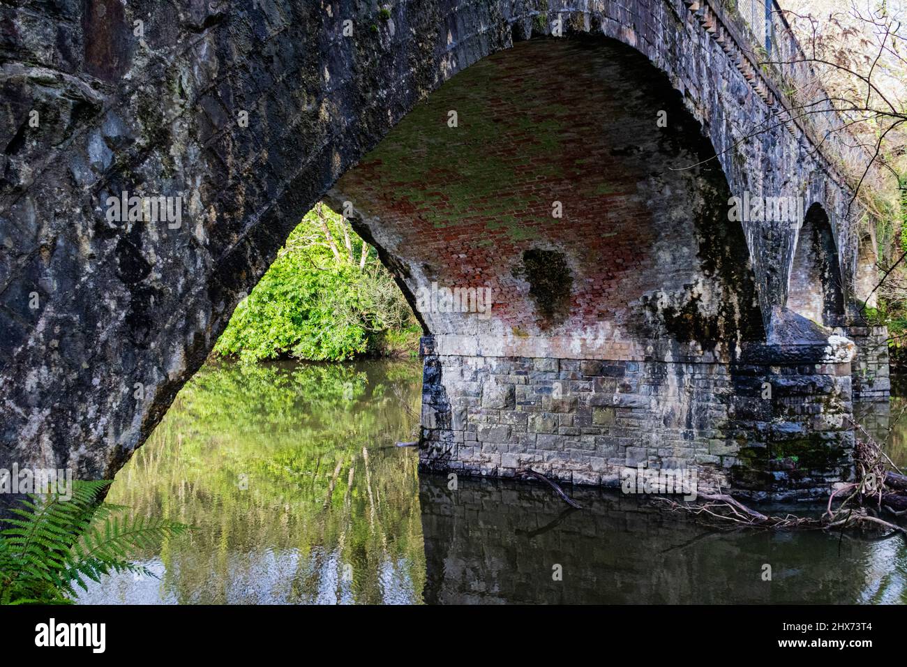 Dettagli della costruzione di mattoni e pietre sul Parapetto e l'Apex dell'Arco del Ponte Vecchio della ferrovia a Beam Weir con il Tarka Trail sopra di esso. Foto Stock