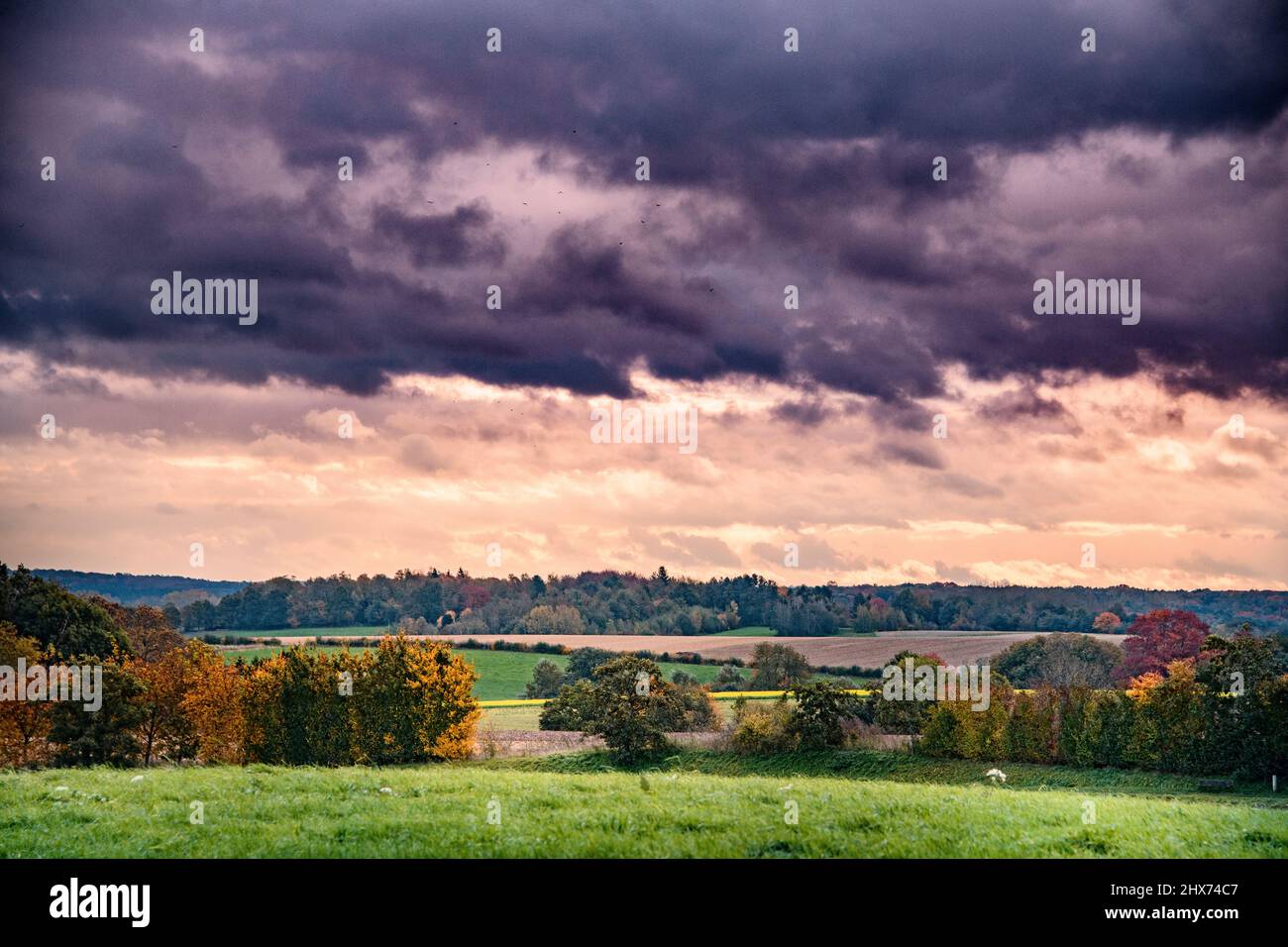 spettacolare panorama autunnale della campagna Foto Stock