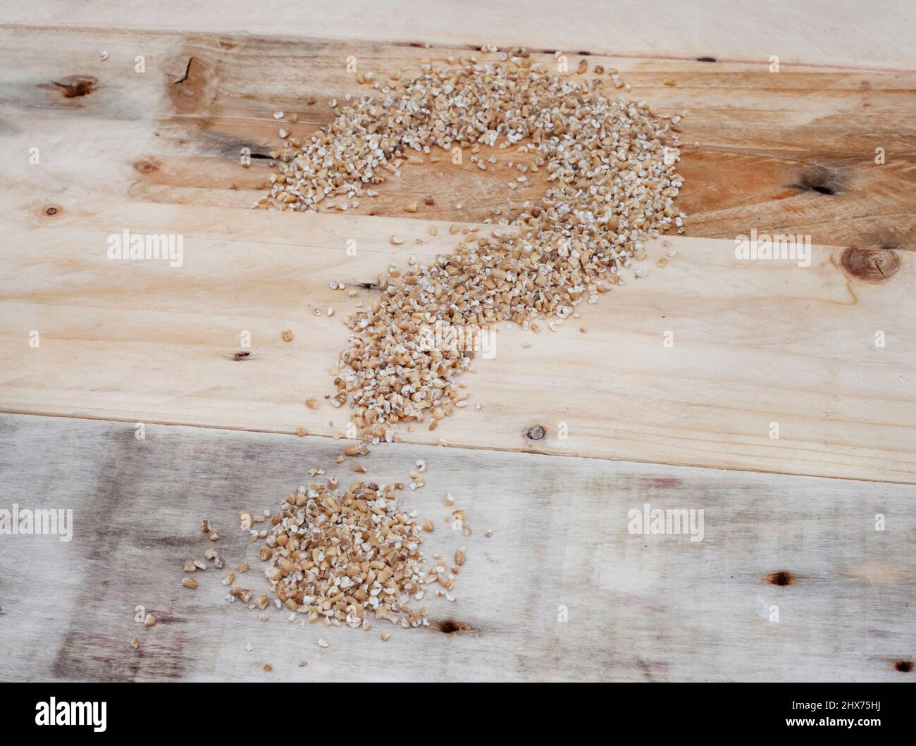 punto interrogativo sui cereali che rappresenta l'incertezza della sicurezza alimentare Foto Stock