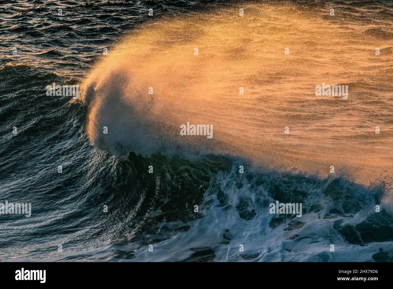 Spray soffiato dalla cresta di un'onda da forte vento e retroilluminato da un tramonto dorato. Foto Stock