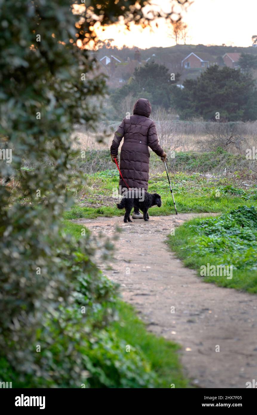 donna più anziana con bastone che esercita il cane su blakeney paludi norfolk inghilterra Foto Stock