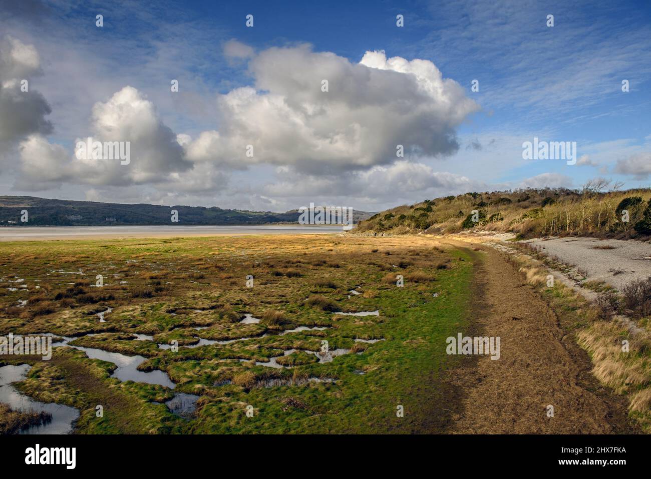 White Creek Bay vicino a Arnside ion Cumbria Foto Stock