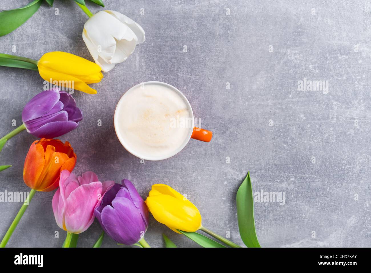 Bouquet di tulipani multicolore e tazza di cappuccino su fondo di cemento. Fiori e caffè Foto Stock