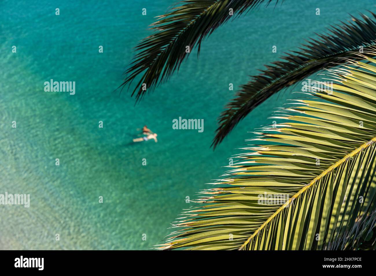 Palme und Schwimmer im Meer beim Strand Playa de la Calahonda in Nerja, Costa del Sol, Andalusia, Spanien | albero di palma e nuotatore nel mare a Pl Foto Stock