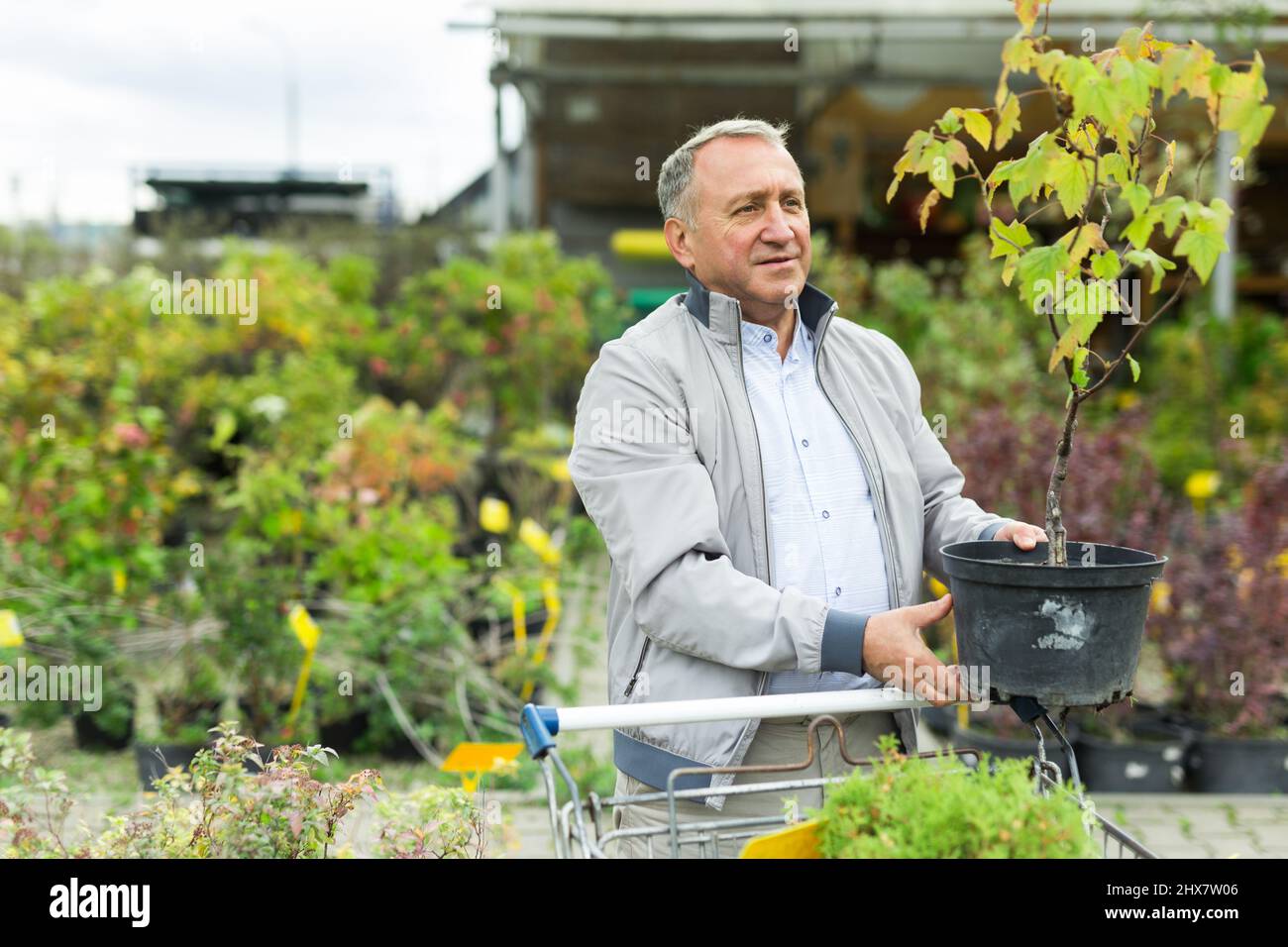 Shopping uomo di mezza età nel centro giardino Foto Stock