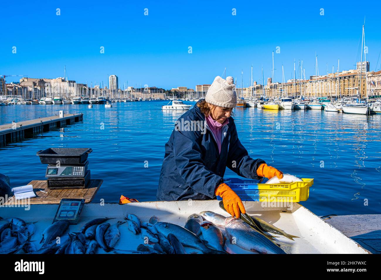 Pêcheur, Marché au Poisson, Vieux Port, Marsiglia Francia Paca Foto Stock