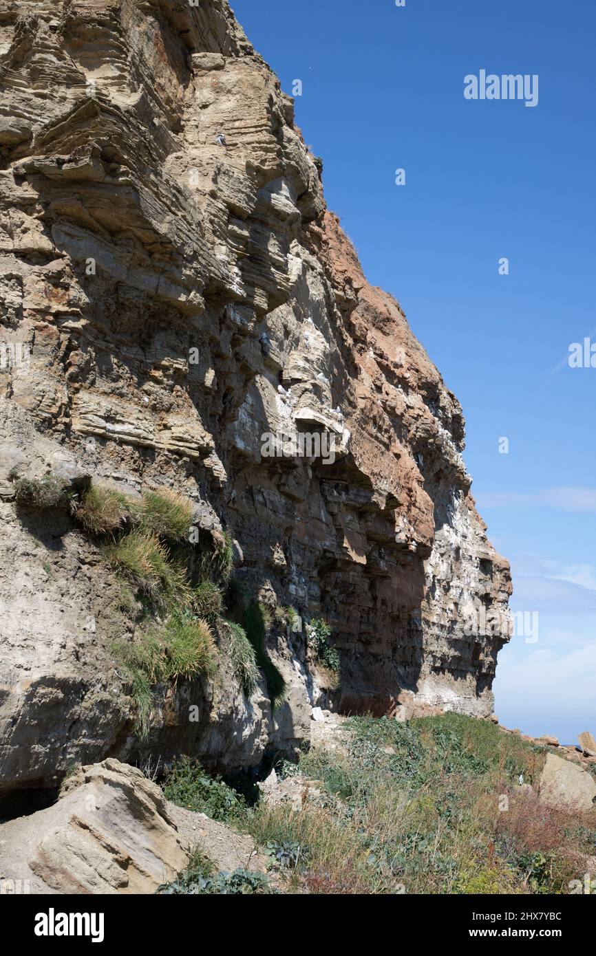 Ripresa verticale di una ripida scogliera coperta da muschio verde su sfondo cielo blu Foto Stock