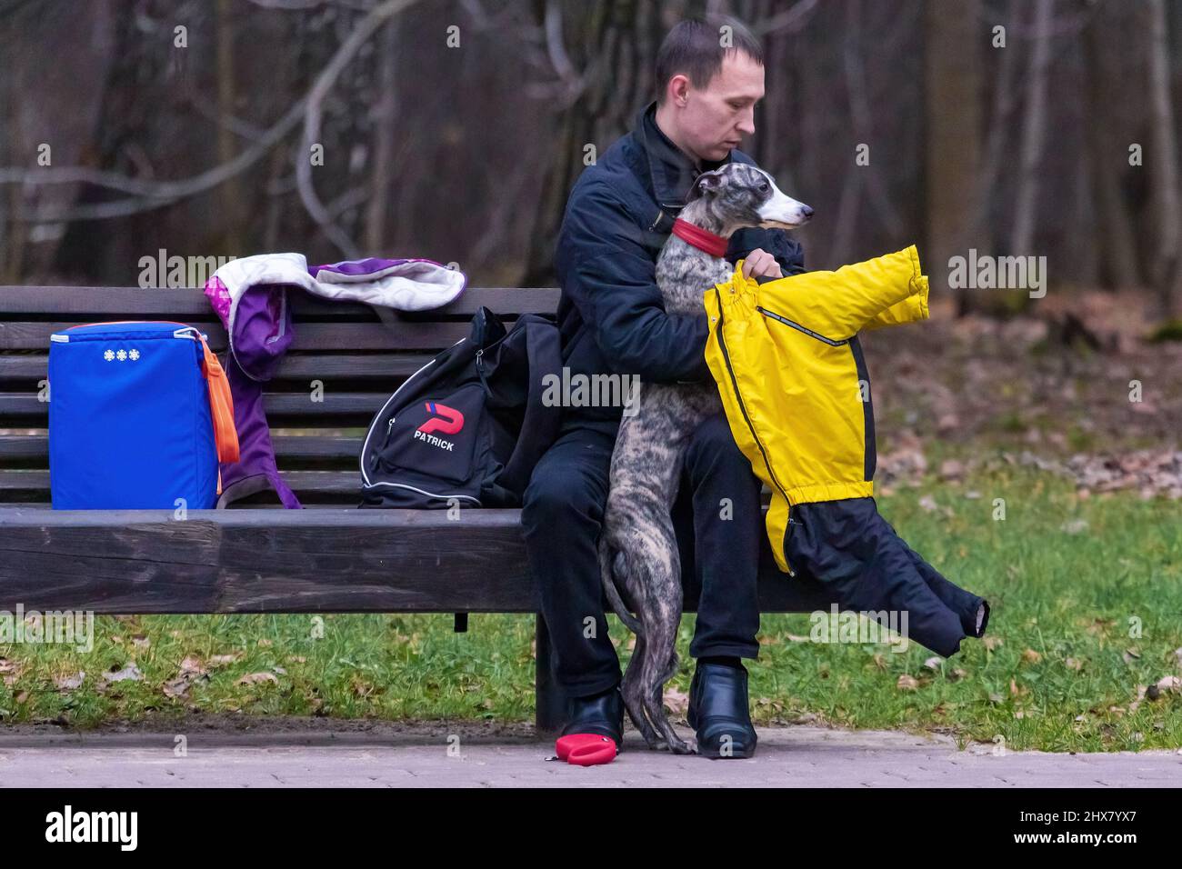 MINSK, BIELORUSSIA - 18 NOVEMBRE 2017: Un uomo in un parco mette un tuta su un cane da compagnia dal freddo. Scena di strada nel parco Foto Stock