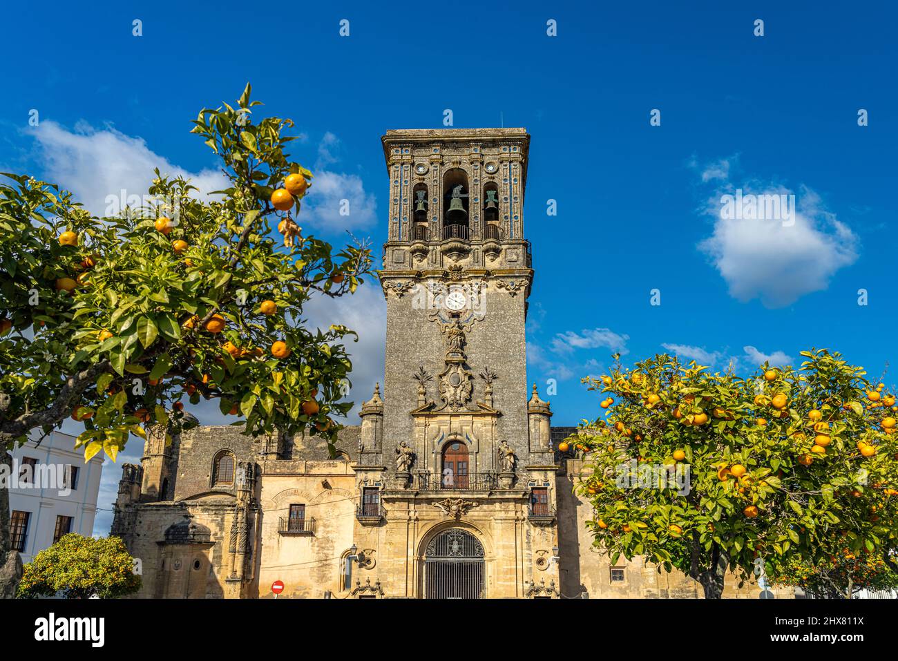 Orangenbäume und die Basilika Santa María de la Asunción in Arcos de la Frontera, Andalusia, spagnolo | alberi d'arancio e la Chiesa di Santa María d Foto Stock
