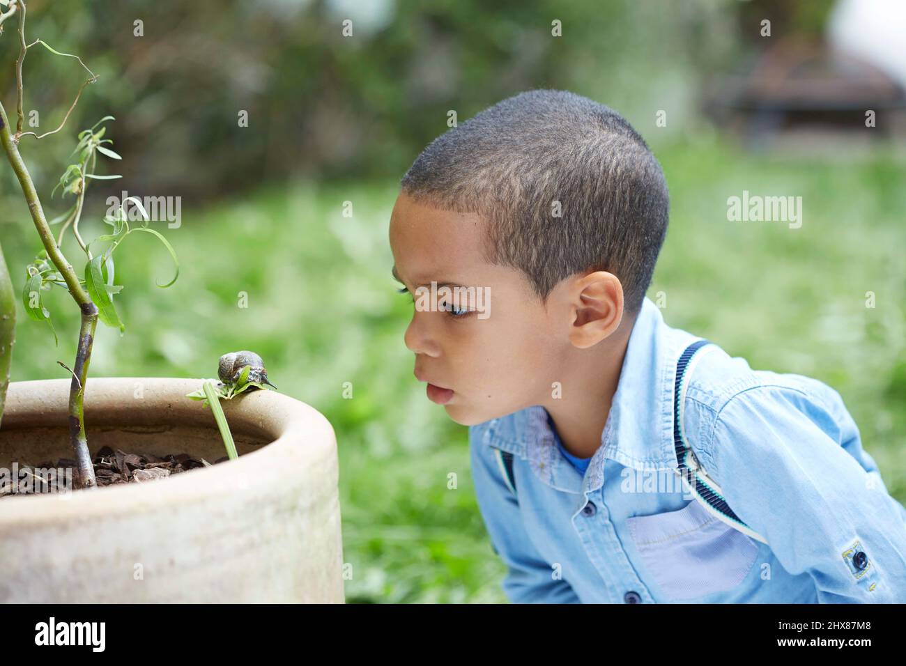 Little Boy guarda la lumaca sul pot (modello dai 3 anni) Foto Stock