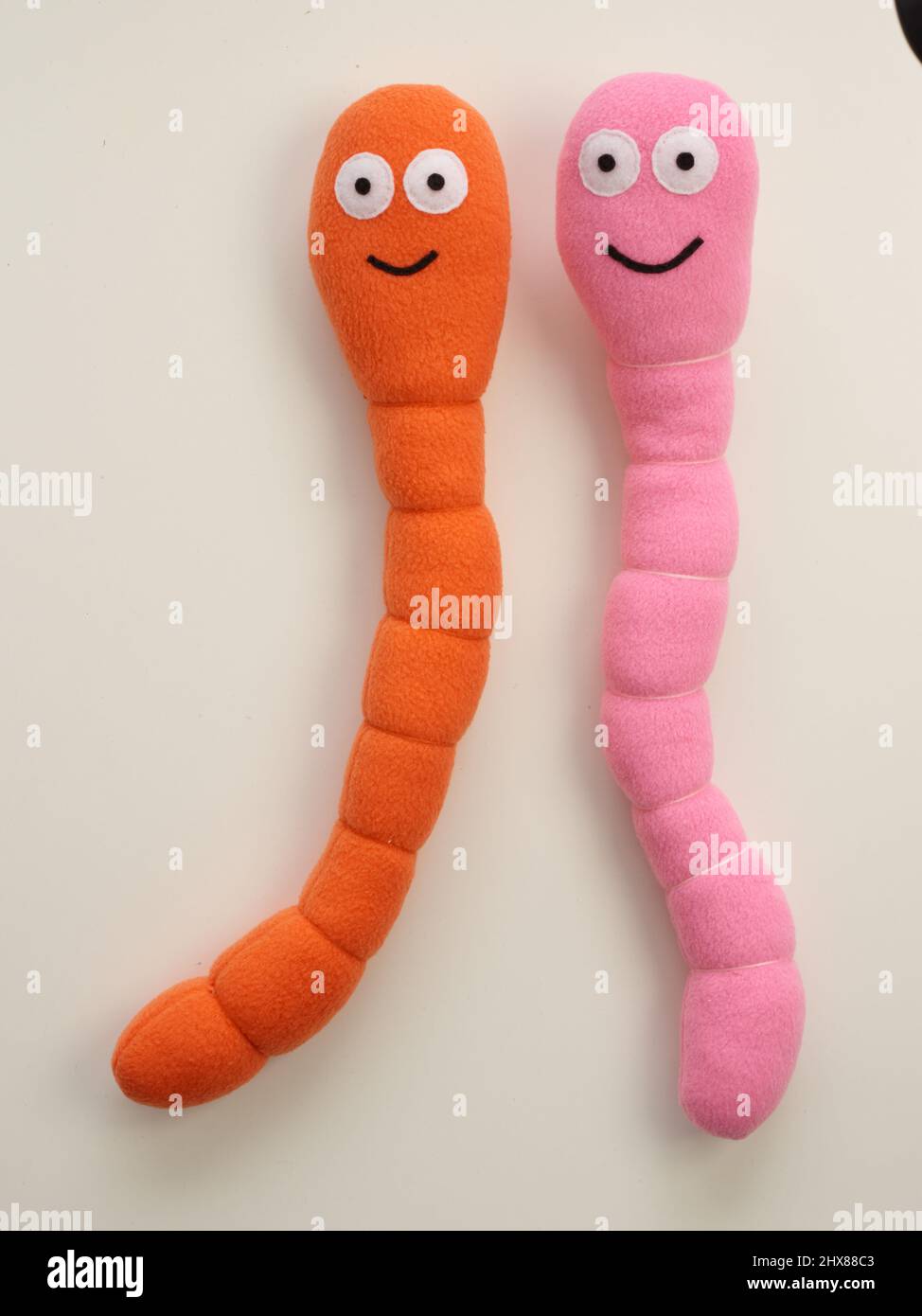 Worm giocattolo (Sewstrange Creations) Foto Stock