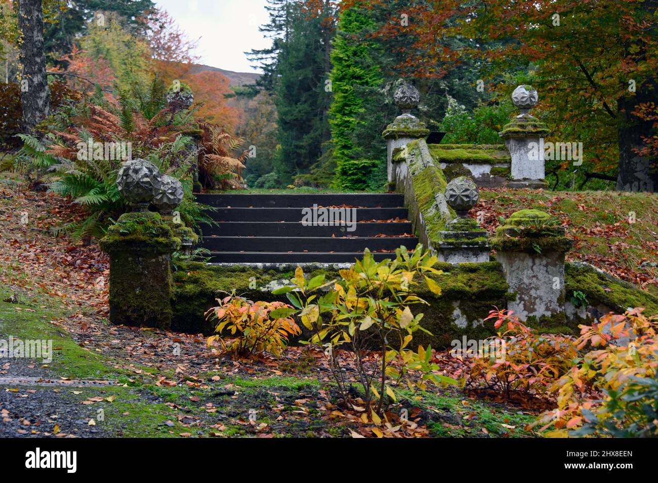 Volo di scalini ornamentali in pietra. Dawyck Botanic Garden, Stobo, Scottish Borders, Scotland, Regno Unito, Europa. Foto Stock