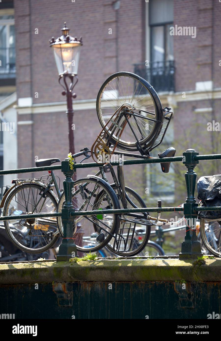 Biciclette in Amsterdam, Paesi Bassi. Foto Stock