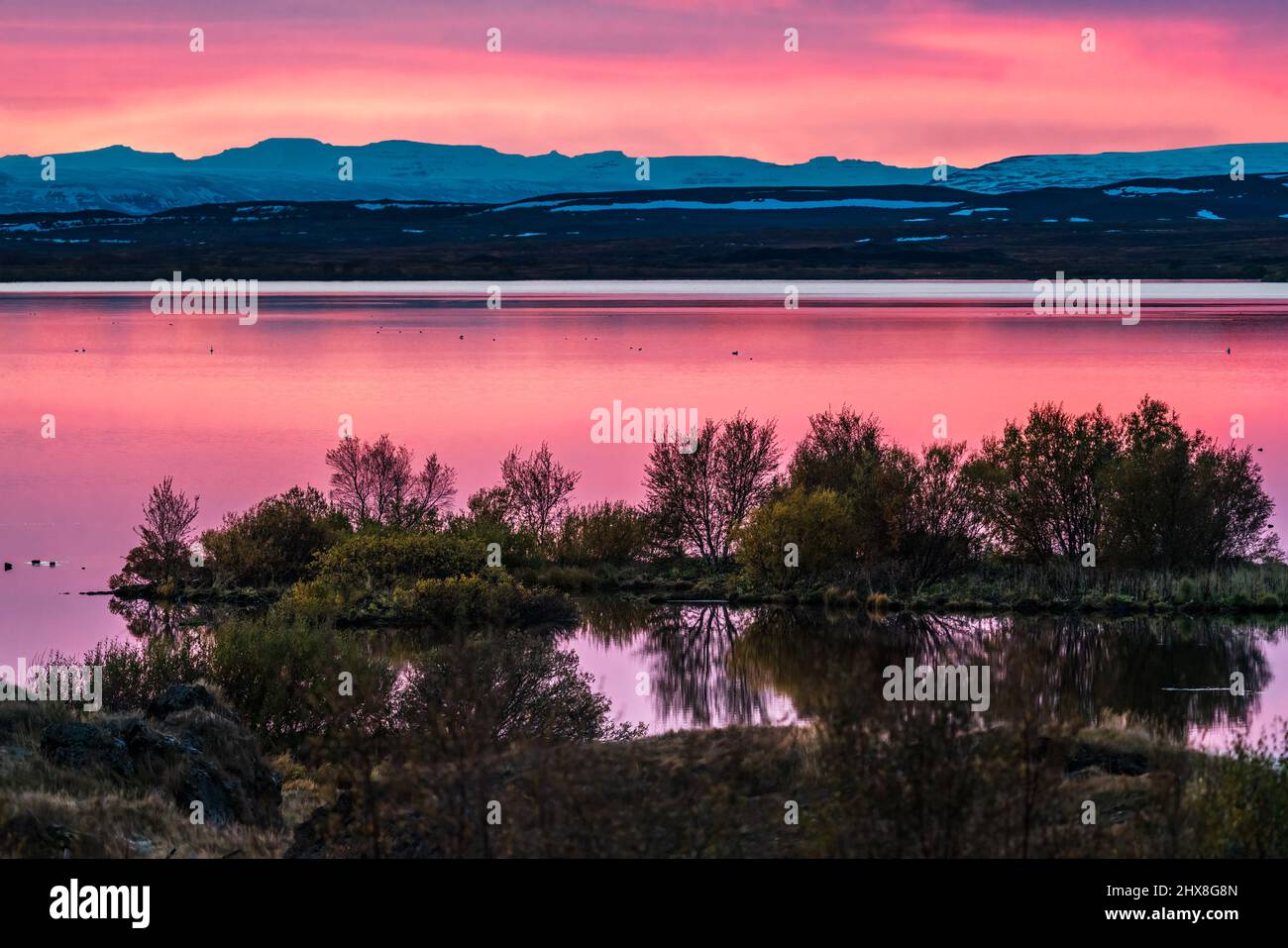 Lago Myvatn al tramonto con colori rosa Foto Stock
