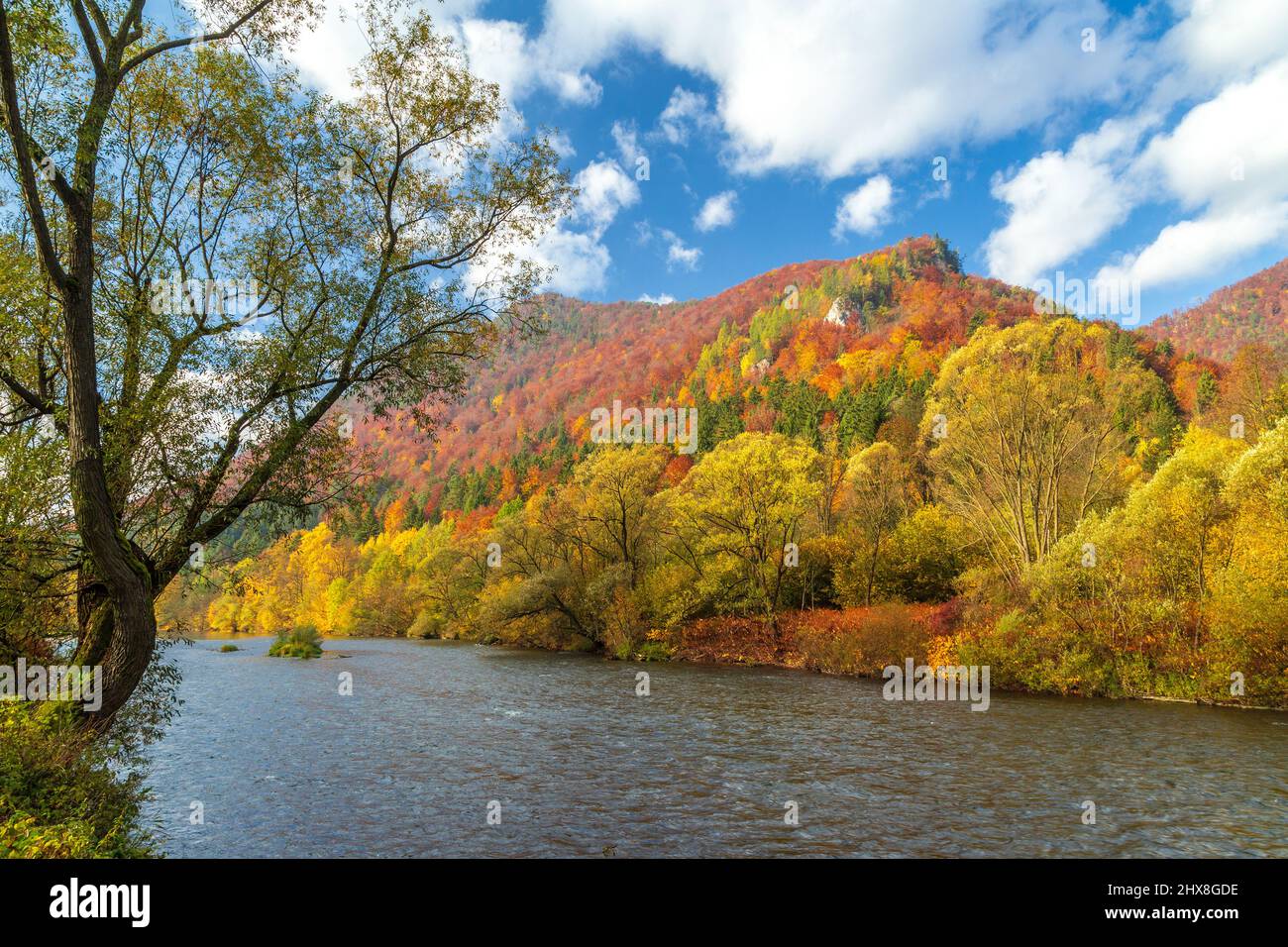 Paesaggio autunnale con il fiume Vah nel nord della Slovacchia, Europa. Foto Stock