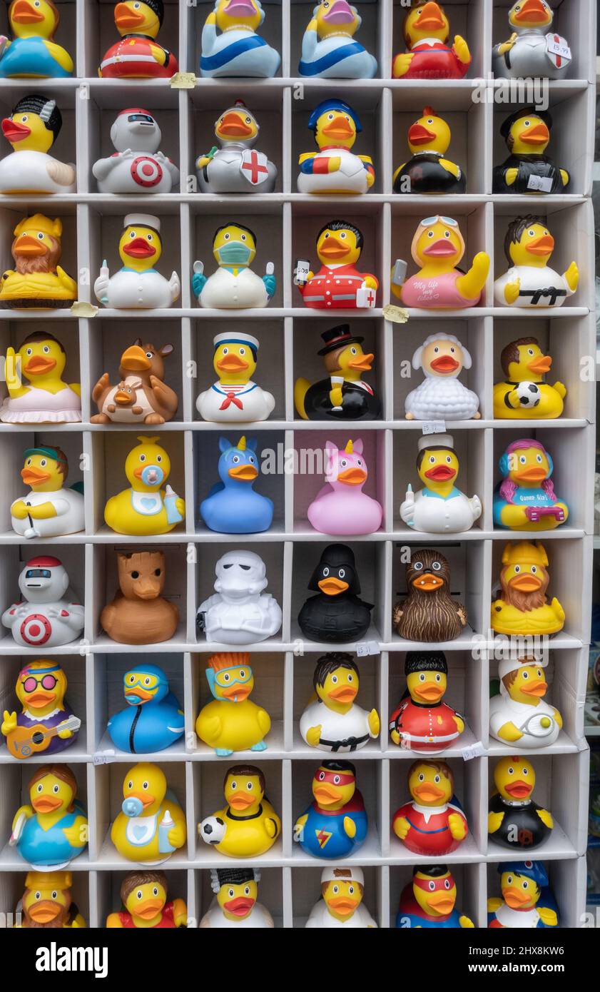 Primo piano di novità in vendita di anatre in gomma esposte all'esterno di un negozio nella città di Bath, Inghilterra, Regno Unito Foto Stock