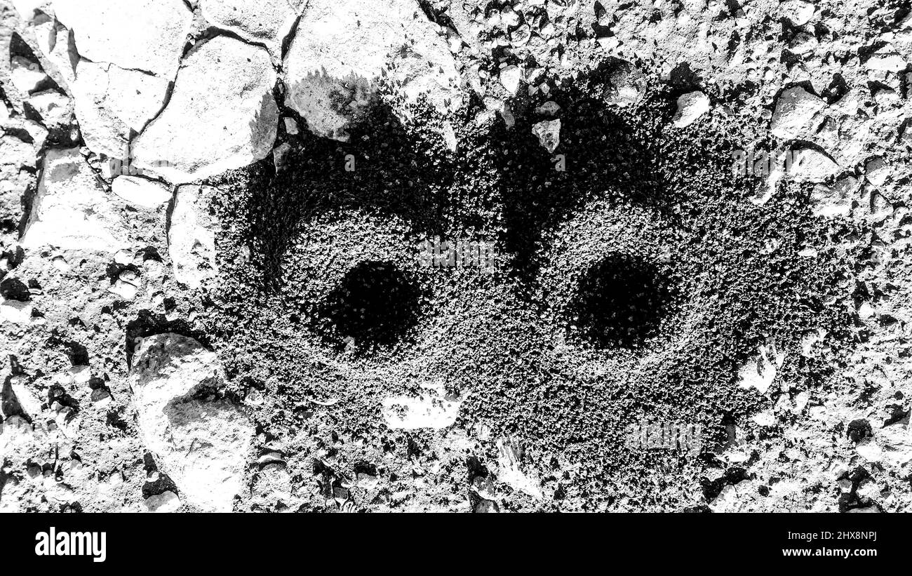 Buchi perfetti nel terreno fatto da lumache quando le uova di posa Foto Stock