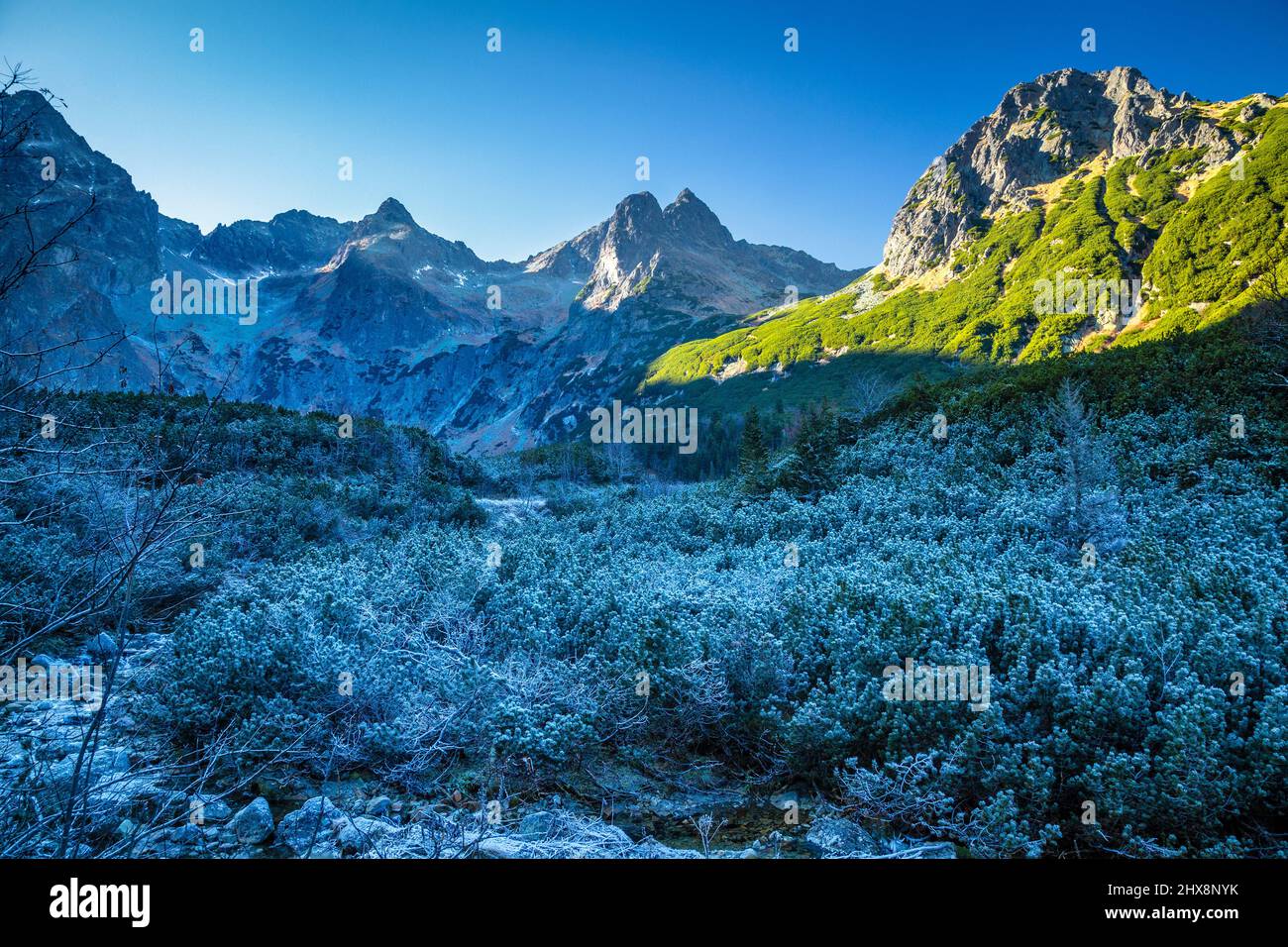 Valle di montagna ghiacciata a fine autunno periodo. La Valle del Lago Verde nel Parco Nazionale degli alti Tatra, Slovacchia, Europa. Foto Stock
