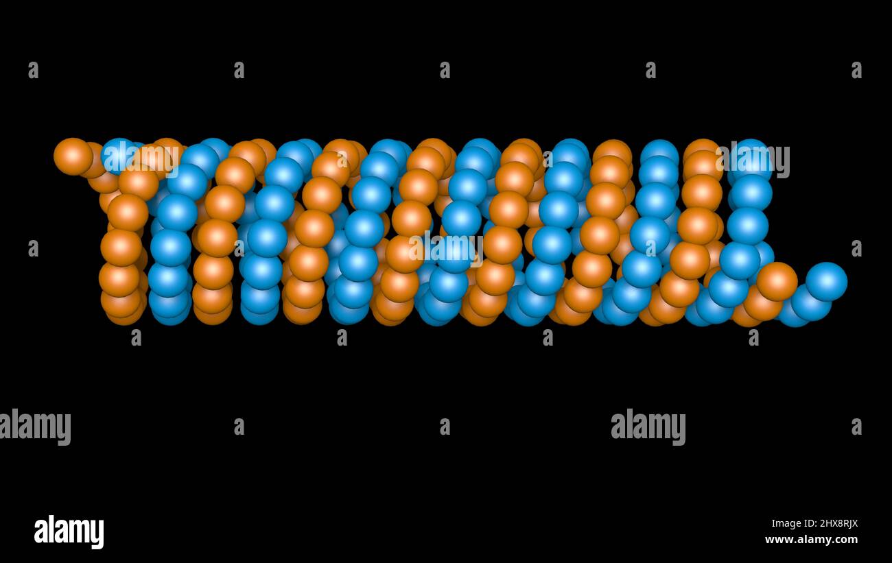 Microtubule , microfilamento circondato da atomi. 3d rappresentazione illustrazione Foto Stock