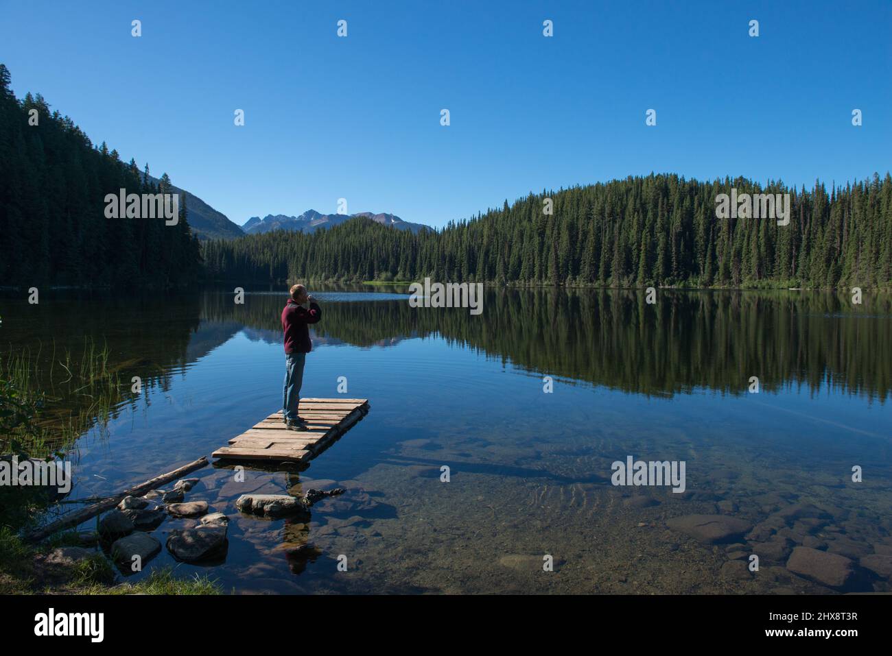 Uomo che beve caffè al mattino presto, e in piedi su un bacino di legno guardando alberi e montagne che si riflettono nel lago. British Columbia, Canada. Foto Stock