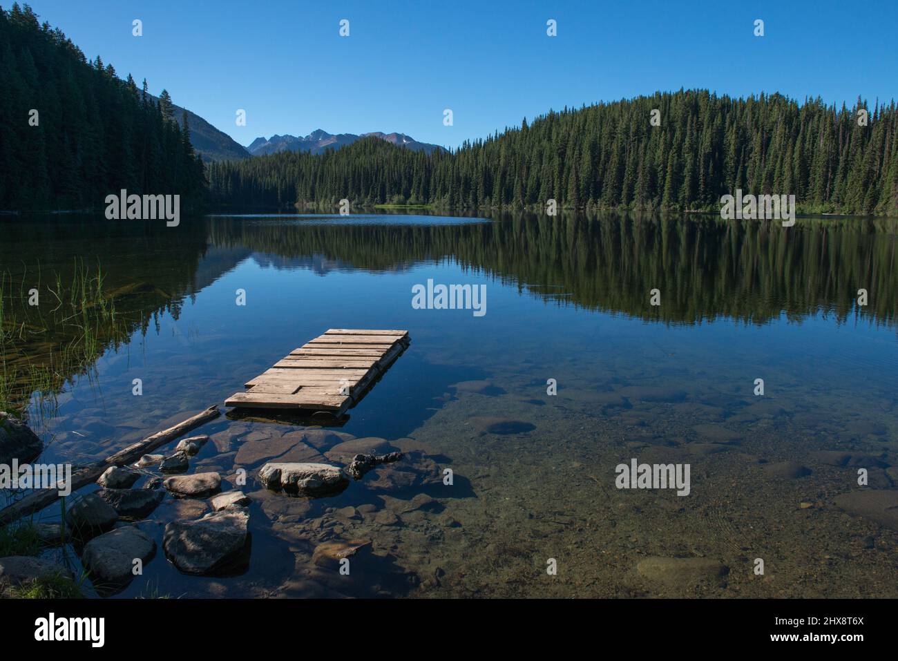 Alberi e montagne che si riflettono nel lago al mattino presto, con bacino di legno in primo piano. British Columbia, Canada. Foto Stock