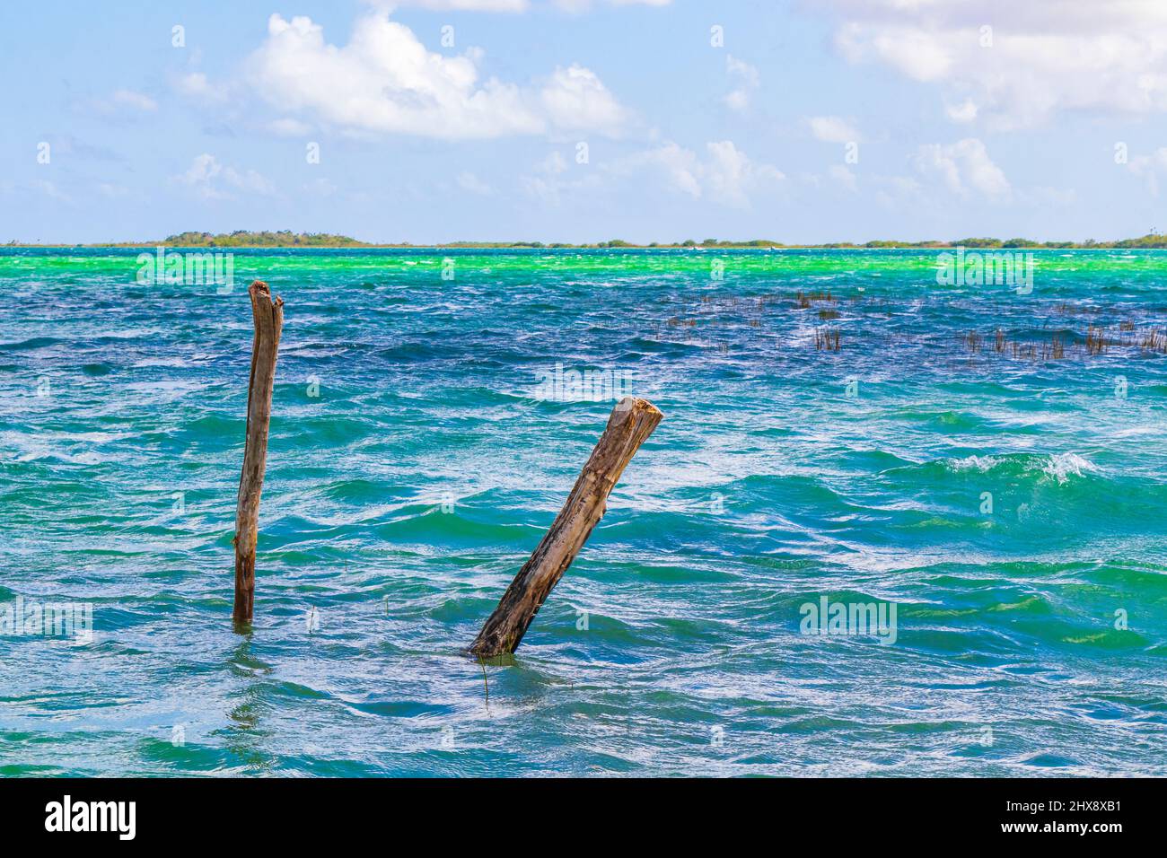 Incredibile vista panoramica naturale della laguna di Muyil nella foresta tropicale della giungla naturale con acque turchesi colorate nel Parco Nazionale di Sian Ka'an Muyil Foto Stock