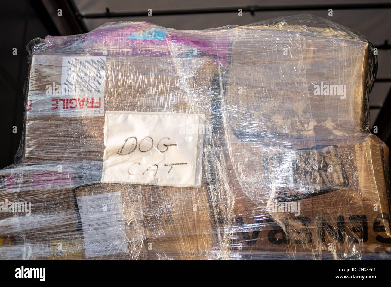 Southend on Sea, Essex, Regno Unito. 10th Mar 2022. Un ristorante polacco a Westcliff on Sea ha condotto una campagna per donazioni da parte dei residenti locali per il trasporto in Polonia per aiutare i rifugiati ucraini in cerca di sicurezza nel paese. Il ristorante, domowe Obiady U Babci, ha organizzato, confezionato e pallettizzato le donazioni in un magazzino donato nella vicina Southend, e oggi ha caricato un secondo carico articolato di camion per il trasporto, con più da seguire. Il costo del trasporto è stato coperto dalla sponsorizzazione, che si dirige verso l'ente di beneficenza Moja Ucraina in Polonia. Forniture per animali domestici Foto Stock