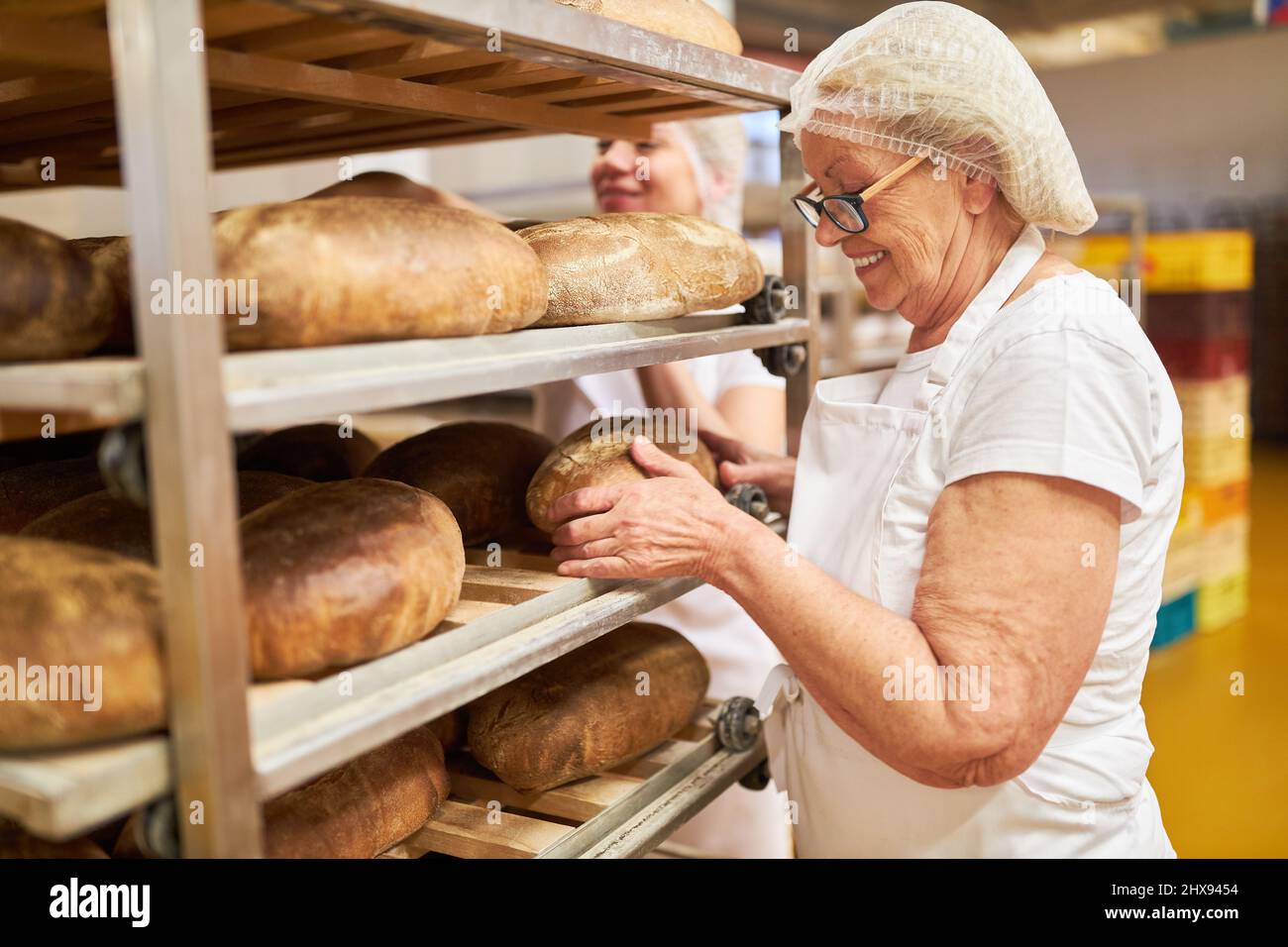 Donna anziana panettiere che controlla la qualità del pane appena sfornato nel panificio Foto Stock