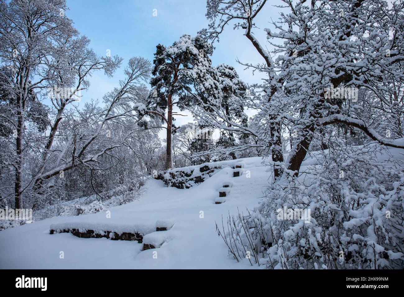 Gradini di pietra ricoperti di neve in un parco a Helsinki, Finlandia Foto Stock