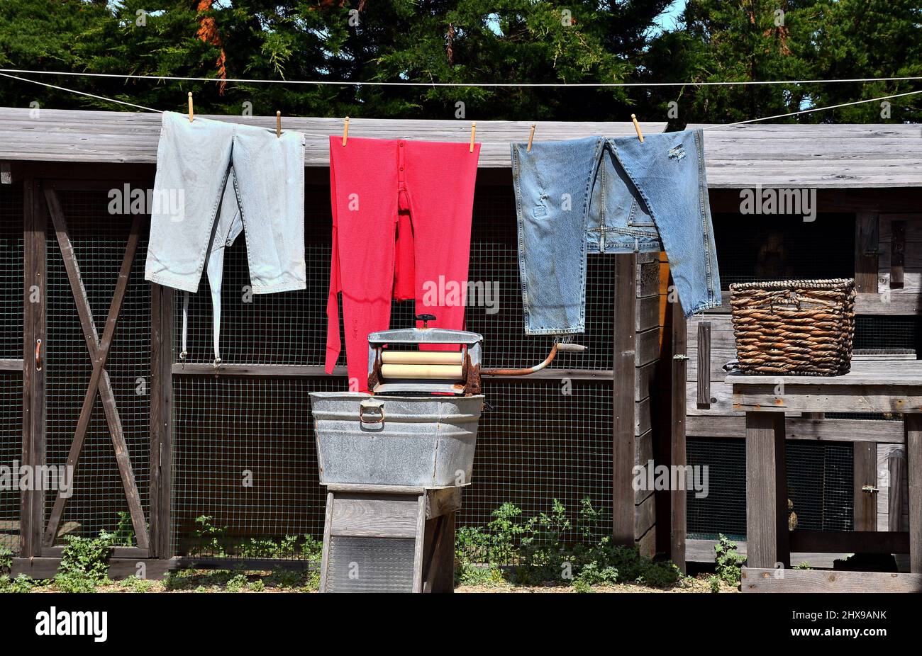 3 articoli di abbigliamento appesi su Clothesline con lavatrice Old Fashion, Coop di pollo con alberi sullo sfondo Foto Stock