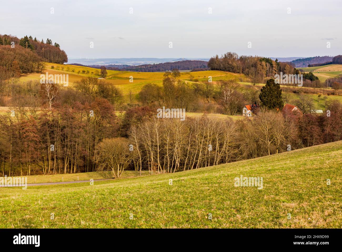 Scena rurale con colline, valli, alberi e cespugli con una bella vista a distanza Foto Stock