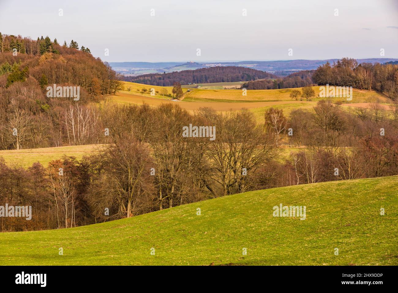 Scena rurale con campi, colline e alberi in lontananza Foto Stock